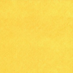 Giallo / aragosta - Linea...